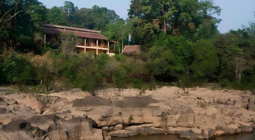 Forest Floor Lodge Cát Tiên Eksteriør billede