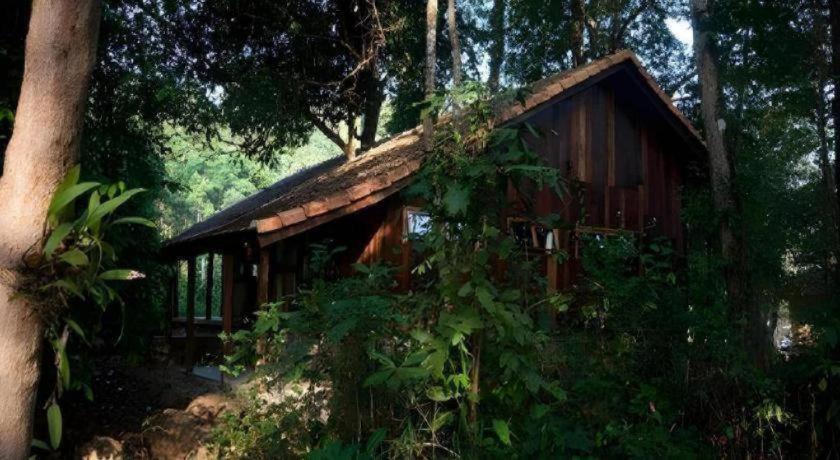 Forest Floor Lodge Cát Tiên Eksteriør billede