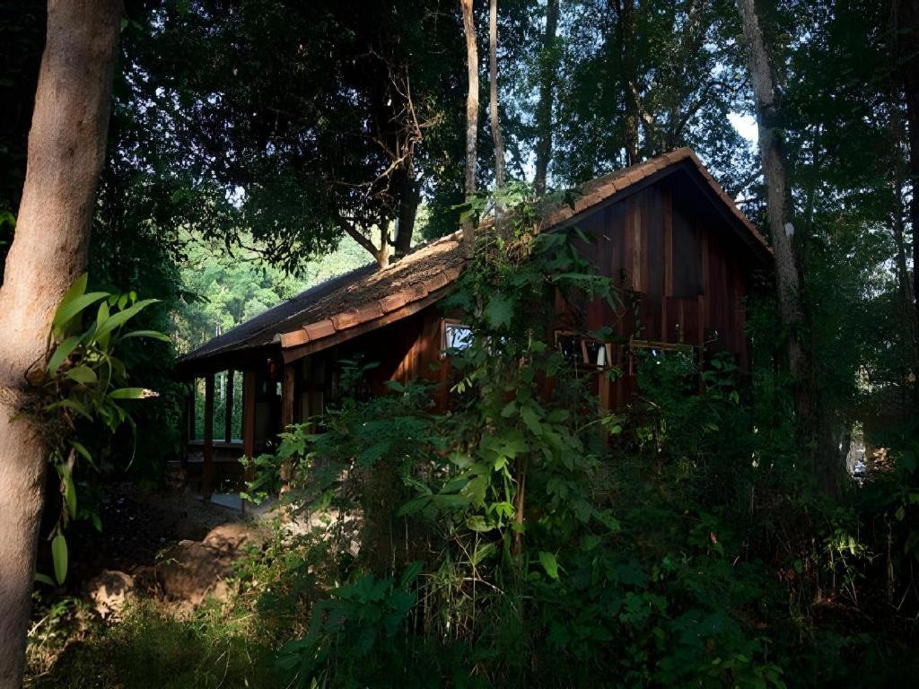 Forest Floor Lodge Cát Tiên Eksteriør billede