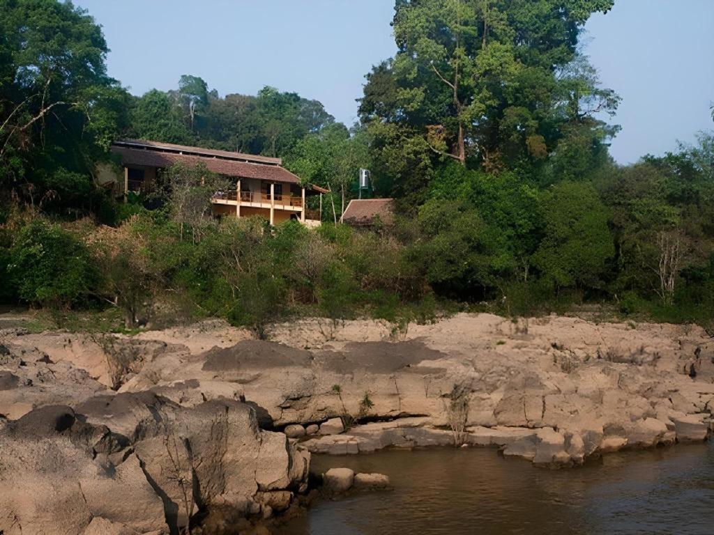 Forest Floor Lodge Cát Tiên Eksteriør billede