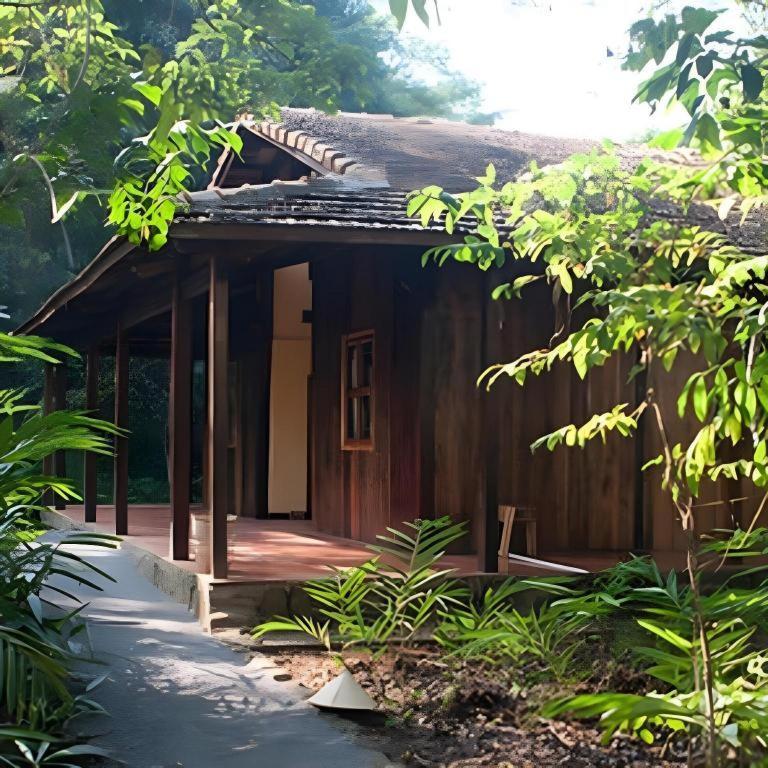 Forest Floor Lodge Cát Tiên Eksteriør billede