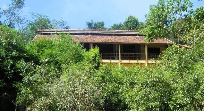 Forest Floor Lodge Cát Tiên Eksteriør billede